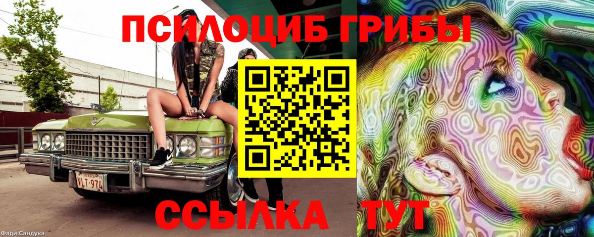 Псилоцибиновые грибы Psilocybe  Псилоцибиновые грибы ЛСД  даркнет сайт  Морозовск  Вход с VPN 